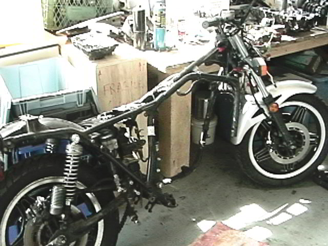 Mark Lawton's 1981 Honda CB900F Photo #4